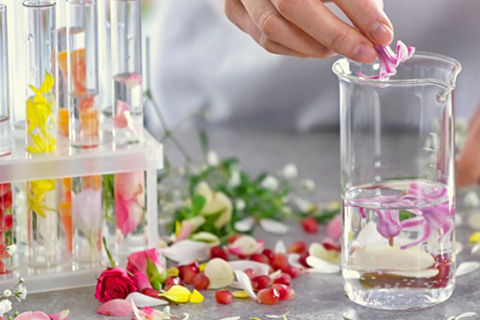 Rising Demand for High-Purity Cooling Agents in the Fragrance and Flavor Industry